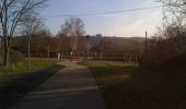 Tocht Stappen Luik - Grivegnée - Chapelle Ste Anne - Bois de Beyne - Haute Ransy (boucle) - Photo 18