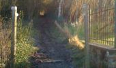 Percorso Marcia Liegi - Grivegnée - Chapelle Ste Anne - Bois de Beyne - Haute Ransy (boucle) - Photo 12