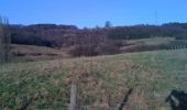 Trail Walking Liège - Grivegnée - Chapelle Ste Anne - Bois de Beyne - Haute Ransy (boucle) - Photo 4