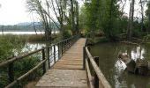 Trail Walking Logroño - Compostelle 2017 - Logroño -> León - Photo 9