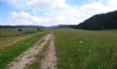 Trail Walking Nanchez - 180618 - Photo 14