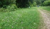 Trail Walking Nanchez - 180618 - Photo 9