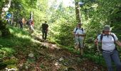 Trail Walking Nanchez - 180618 - Photo 5