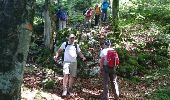 Trail Walking Nanchez - 180618 - Photo 4