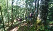 Trail Walking Nanchez - 180618 - Photo 3