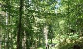 Trail Walking Nanchez - SVG 180618 - Photo 7