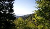 Tocht Stappen Le Valtin - lac vert lac destruites - Photo 10