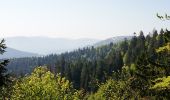 Tocht Stappen Le Valtin - lac vert lac destruites - Photo 9