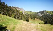 Tocht Stappen Le Valtin - lac vert lac destruites - Photo 6