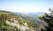 Tocht Stappen Le Valtin - lac vert lac destruites - Photo 4