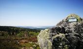 Tour Wandern Le Valtin - lac vert lac destruites - Photo 3