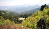 Tour Wandern Le Valtin - lac vert lac destruites - Photo 1