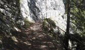 Tour Wandern Vuiteboeuf - Gorges de Covatanne - Via Salina - circuit 19.06.18 - Photo 5