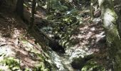 Trail Walking Vuiteboeuf - Gorges de Covatanne - Via Salina - circuit 19.06.18 - Photo 2