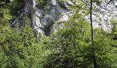Tour Wandern Vuiteboeuf - Gorges de Covatanne - Via Salina - circuit 19.06.18 - Photo 6