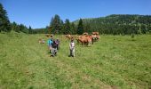 Tour Wandern Divonne-les-Bains - 180619 - Photo 4