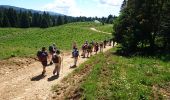 Trail Walking Divonne-les-Bains - 180619 - Photo 1