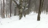 Trail Snowshoes Storckensohn - Le Gresson - Photo 5