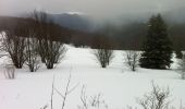 Excursión Raquetas de nieve Storckensohn - Le Gresson - Photo 4