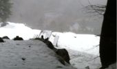 Tocht Sneeuwschoenen Storckensohn - Le Gresson - Photo 1