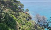 Tocht Stappen Rayol-Canadel-sur-Mer - Le Rayol Canadel - St Clair - Photo 17