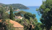 Tocht Stappen Rayol-Canadel-sur-Mer - Le Rayol Canadel - St Clair - Photo 14