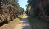 Trail Walking Rayol-Canadel-sur-Mer - Le Rayol Canadel - St Clair - Photo 10