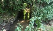 Tour Wandern Le Petit-Fougeray - 20.06.2018 - LE VIL - Photo 2