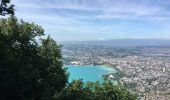 Excursión Senderismo Annecy - Mont Veyrier-Mont Baron - Photo 8