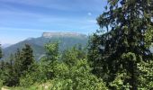 Trail Walking Annecy - Mont Veyrier-Mont Baron - Photo 3