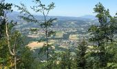 Randonnée Marche Annecy - Mont Veyrier-Mont Baron - Photo 1