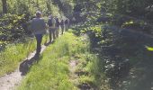 Trail Nordic walking Auffargis - vaux de cernay - Photo 20