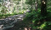 Trail Nordic walking Auffargis - vaux de cernay - Photo 5