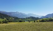 Trail Cycle Aigen im Ennstal - Aigen im Ennstal - Lauffen (Salzkammergut) - Photo 16