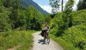 Percorso Bicicletta Aigen im Ennstal - Aigen im Ennstal - Lauffen (Salzkammergut) - Photo 13