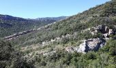 Excursión Senderismo Duilhac-sous-Peyrepertuse - Gorges du Verdouble en boucle par Duilhac  - Photo 2