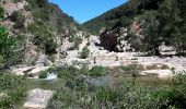 Excursión Senderismo Duilhac-sous-Peyrepertuse - Gorges du Verdouble en boucle par Duilhac  - Photo 1