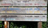 Randonnée Marche Le Mung - BALLADE BORD CHATENTON à  ST SAVINIEN 17 - Photo 18
