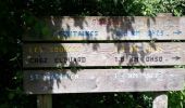 Trail Walking Le Mung - BALLADE BORD CHATENTON à  ST SAVINIEN 17 - Photo 6