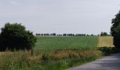 Tocht Mountainbike Grisy-les-Plâtres - auvers-grisy - Photo 1