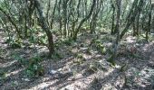 Trail Walking Labastide-de-Virac - 180624 EnCours - Photo 18