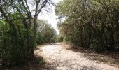 Trail Walking Labastide-de-Virac - 180624 EnCours - Photo 1