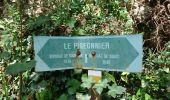 Trail Walking Labastide-de-Virac - SVG 180624 - Photo 6
