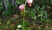 Tour Nordic Walking Saint-Nizier-du-Moucherotte - La Ferme Durant - Photo 2