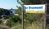 Tour Wandern Saint-Raphaël - Plage du Débarquement à la plage de Camp Long - Photo 1