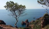 Trail Walking Saint-Raphaël - Plage du Débarquement à la plage de Camp Long - Photo 8