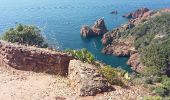 Trail Walking Saint-Raphaël - Plage du Débarquement à la plage de Camp Long - Photo 9