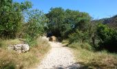 Trail Walking Saint-Remèze - 180625 EnCours - Photo 1