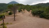 Trail Walking Théoule-sur-Mer - les 3 cols et grosses et petites grues - Photo 12