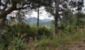 Trail Walking Théoule-sur-Mer - les 3 cols et grosses et petites grues - Photo 10